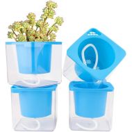 GrowLED 4 inch Self Watering Plant Pot, Indoor Gardening Planter, Indoor Home Garden Modern Decorative Pot, Set of 4, Blue