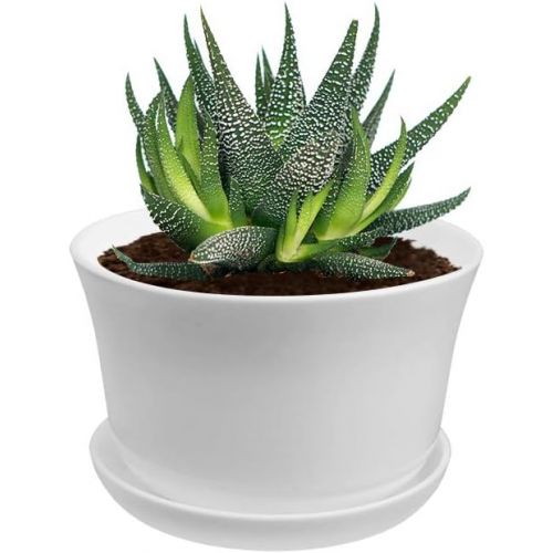  GrowLED 3.8 Inch Plastic Planters with Drainage Garden Pot Flower Plant Pots Modern Decorative Gardening Pot for Indoor Plants, Flowers, Herbs, Succulents, Foliage Plants, Round, W