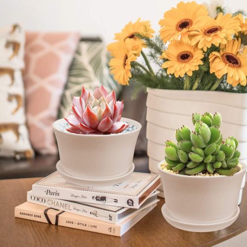  GrowLED 3.8 Inch Plastic Planters with Drainage Garden Pot Flower Plant Pots Modern Decorative Gardening Pot for Indoor Plants, Flowers, Herbs, Succulents, Foliage Plants, Round, W