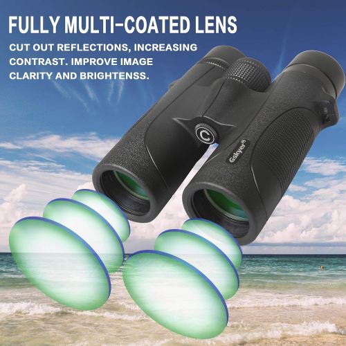  Gskyer Binoculars, 12x42 Binoculars for Adults and Kids, Binoculars for Hunting, Binoculars for Bird Watching Travel Concerts Sports Stargazing and Planets-Large Lens BAK4 Prism FM