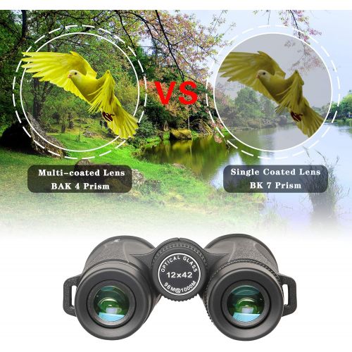  Gskyer Binoculars, 12x42 Binoculars for Adults and Kids, Binoculars for Hunting, Binoculars for Bird Watching Travel Concerts Sports Stargazing and Planets-Large Lens BAK4 Prism FM