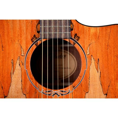  Fender T-Bucket 400CE Spalted Maple FSR Acoustic Electric Guitar