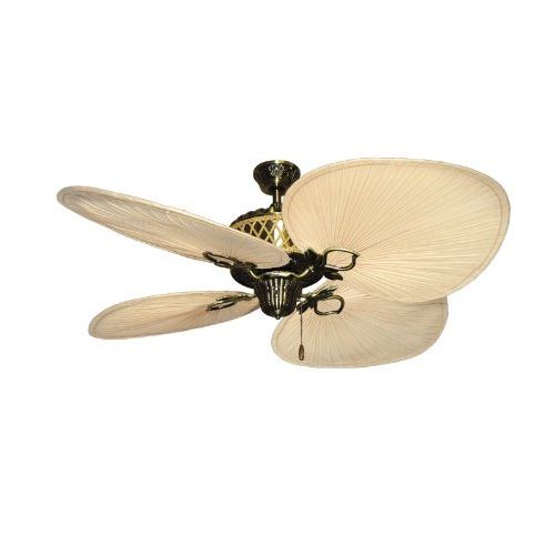  Gulf Coast Fans Palm Bay Ceiling Fan in Antique Brass with 56 Natural Palm Blades