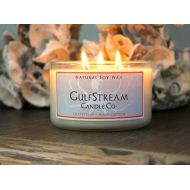 /GulfStreamCandle Grapefuit + Mangosteen Soy Candle || 11 ounces || 100% Soy wax || Coastal Decor || gift ideas