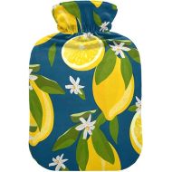 hot Water Velvet Transparent 2L fashy ice Pack for Hot and Cold Therapies Lemon Fruits with Flowers and Leaves Blue Citrus Fruits