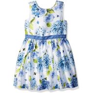 Gymboree Baby Girls Sleveless Floral Print Dress