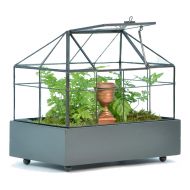 H Potter Rectangular Glass Terrarium Wardian Case - Handcrafted Tabletop Planter Box - Modern Geometric Indoor Display Case - Succulent Container - Miniature Fairy Garden - Home Ac