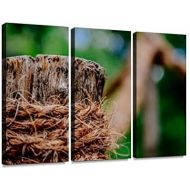 HABEN Artwork Wood Stove is on fire in Winter Days Ridge Built Structure Honesty Print on Canvas Wall Artwork Modern Photography Home Decor Unique Pattern Stretched and Framed 3 Piece