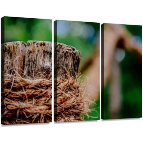  HABEN Artwork Wood Stove is on fire in Winter Days Ridge Built Structure Honesty Print on Canvas Wall Artwork Modern Photography Home Decor Unique Pattern Stretched and Framed 3 Piece