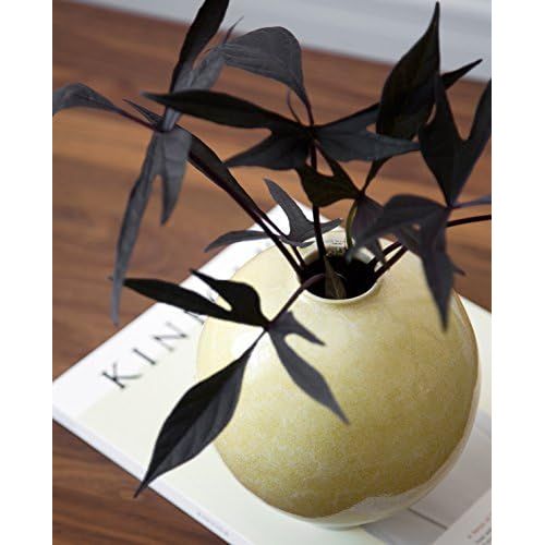  Kahler 692021 Unico Vase, Keramik