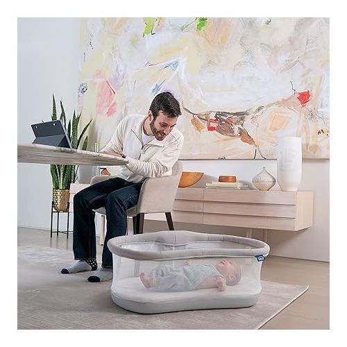  HALO BassiNest 3.0, Baby Swivel Bassinet for Newborns, Grey