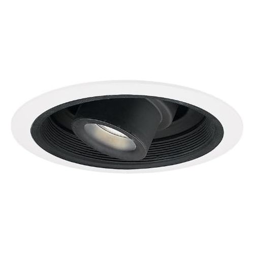  Halo HALO Recessed 1412P 6-Inch Low Voltage Adjustable Spot with Transformer Trim and Black Baffle, White