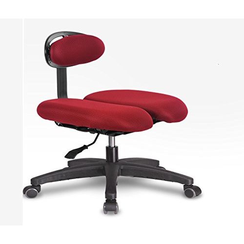  HARA Chair HARA CHAIR HARA D (HR2D) Office Chair Twin Based Pressure Relief of the Intervertebral Discs and Improved Buttock Circulation Color Red Mesh