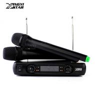HATCHMATIC Professional Wireless Microphone Karaoke System Dual Channels Cordless Receiver Dynamic Mic Launchpad For Stage DJ KTV Megaphone