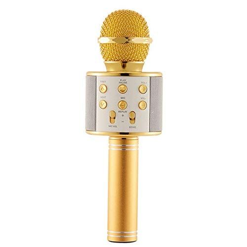  HATCHMATIC WS858 Portable Wireless Karaoke Microphone Volume Control Support AUX audio Bluetooth Connection Home Music and MP3 Player: Golden