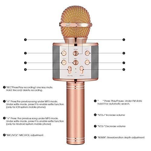  HATCHMATIC Ship from US! WS-858 Wireless Bluetooth Karaoke Handheld Microphone USB KTV Player Speaker Record Music Microphone: China, Golden