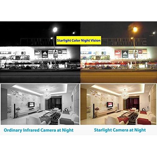  HDView Starlight Color Night Vision IP Network Camera PoE, SD Card Slot, DWDR, 4X Optical Zoom 2.8-12mm Motorized Lens 3-Axis, Sony Starvis, Infrared Megapixel Eyeball Dome