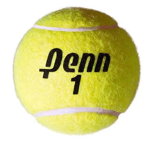 헤드 HEAD Speed Kids Tennis Racquet - Beginners Pre-Strung Head Light Balance Jr Racket & Penn Championship Tennis Balls - Extra Duty Felt Pressurized - 4 Cans, 12 Balls