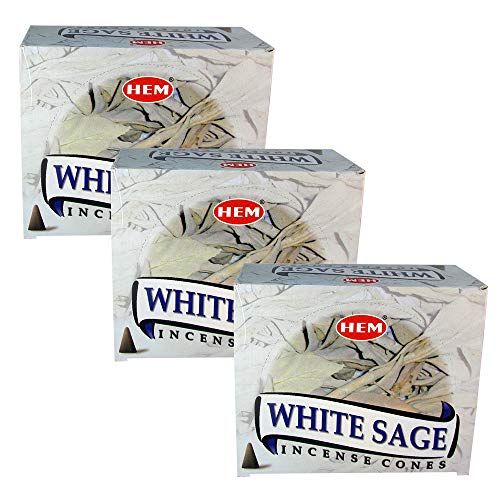  인센스스틱 HEM White Sage Pack of 3 Incense Cones Boxes, 10 Cones Each, Fine Quality Handrolled Incense Sticks for Purification, Relaxation, Positivity, Yoga, Meditation, Healing, Soothing, P