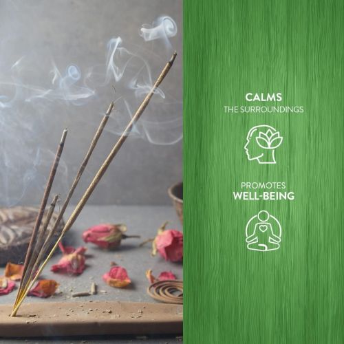  인센스스틱 HEM - Arruda Premium Masala Incense Sticks