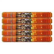 인센스스틱 HEM Veer Hanuman Incense Sticks Agarbatti Masala - Pack of 5 Tubes, 20 Sticks Each Box, Total 100 Sticks - Quality Incense Hand Rolled in India for Healing Meditation Yoga Relaxati