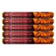 인센스스틱 HEM Kamasutra Incense Sticks Agarbatti Masala - Pack of 5 Tubes, 20 Sticks Each Box, Total 100 Sticks - Quality Incense Hand Rolled in India for Healing Meditation Yoga Relaxation
