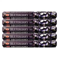 인센스스틱 HEM Blueberry Incense Sticks Agarbatti Masala - Pack of 5 Tubes, 20 Sticks Each Box, Total 100 Sticks - Quality Incense Hand Rolled in India for Healing Meditation Yoga Relaxation