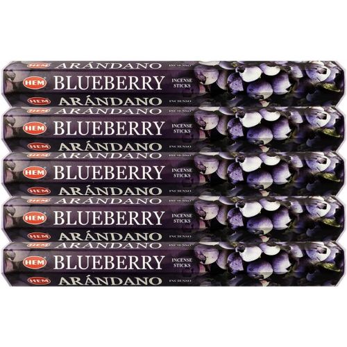  인센스스틱 HEM Blueberry Incense Sticks Agarbatti Masala - Pack of 5 Tubes, 20 Sticks Each Box, Total 100 Sticks - Quality Incense Hand Rolled in India for Healing Meditation Yoga Relaxation