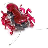 HEXBUG Ant : Red
