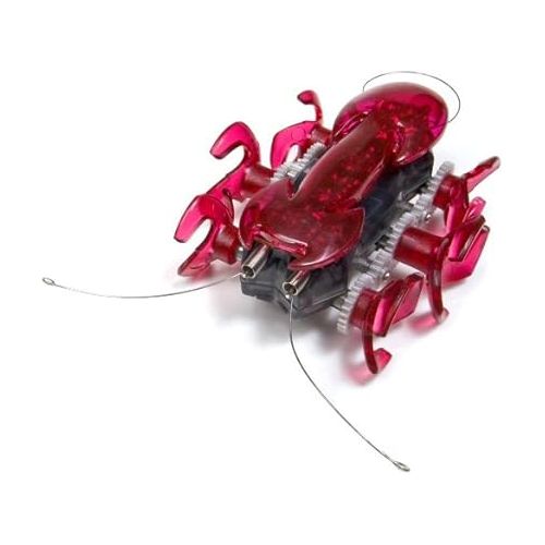  HEXBUG Ant : Red