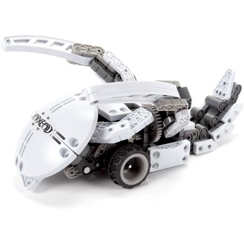  HEXBUG VEX Robotics Warhead Toys for Kids, Fun Battle Bot Hex Bugs Construction Kit War Head
