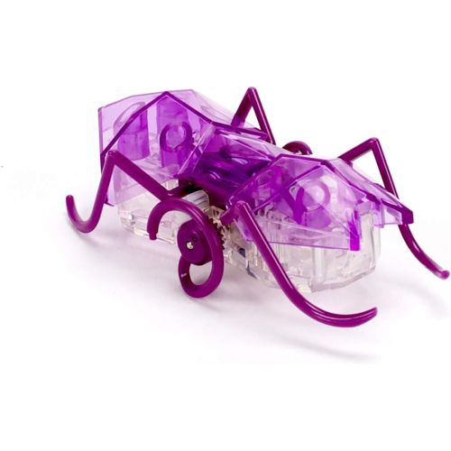  HEXBUG Micro Ant - Electronic Autonomous Robotic Pet - High Speed Robot - Toy for Kids Ages 8 and Up (Random Color)