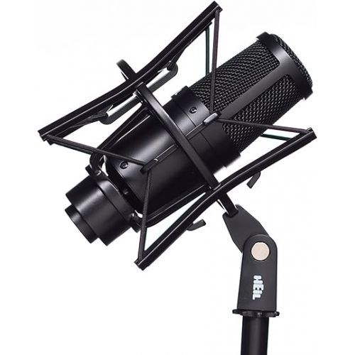  Heil PR 30 Dynamic XLR-Microphone for Video Podcast, Live Sound, Instrumentals, Recording, and Broadcast, Wide Frequency Response, Smooth Sound, Superior Rear Noise Rejection - Black