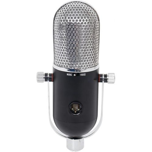  HEiL sound PR77DBK Award Winning Dynamic Microphone - Podcast Microphone, Streaming Microphone, and Recording Microphone