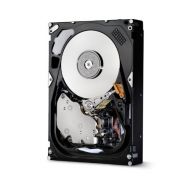 HGST, a Western Digital Company HGST Ultrastar 3.5-Inch 600GB 15000RPM SAS 64 MB Cache Enterprise Hard Drive with Mission Critical Performance (0B23663)