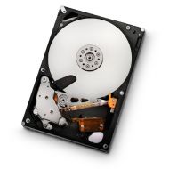 HGST, a Western Digital Company HGST Ultrastar A7K2000 3.5-Inch 2TB 7200RPM SATA II 32 MB Cache Enterprise Hard Drive with 24x7 Duty Cycle (0F10452)