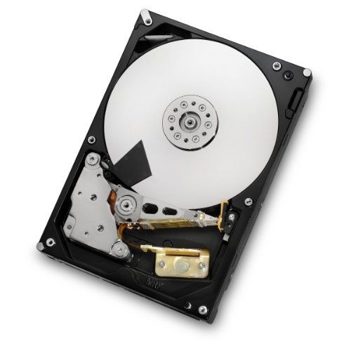  HGST, a Western Digital Company HGST Deskstar 3.5-Inch 2TB 7200RPM SATA III 6 Gbps 64 MB Cache Internal Hard Drive (0F12115)