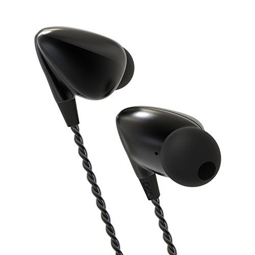  In-Ear Earphones Hi-Res Headphones with High Resolution HIDIZS Seeds Dynamic IEMs Wired Earbuds (Black)