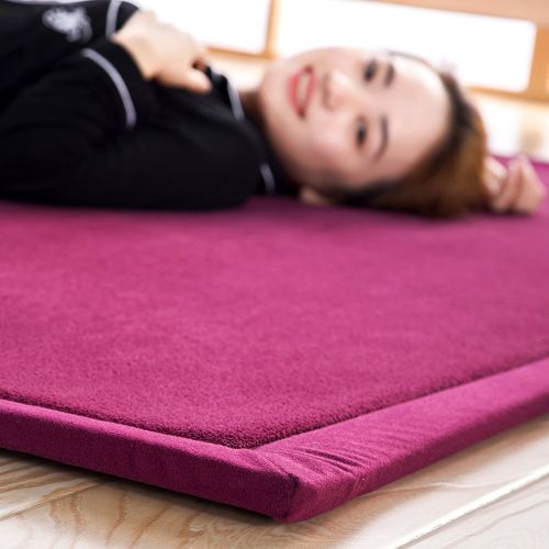  HIGOGOGO Japanese Coral Velvet Carpet Thickness:2cm, Wine Children Play Mat Plush Foam Bedroom Mat Area Rug Yoga Mat, 31 by 63 inch Reversible Living Room Carpet/Children Crawling