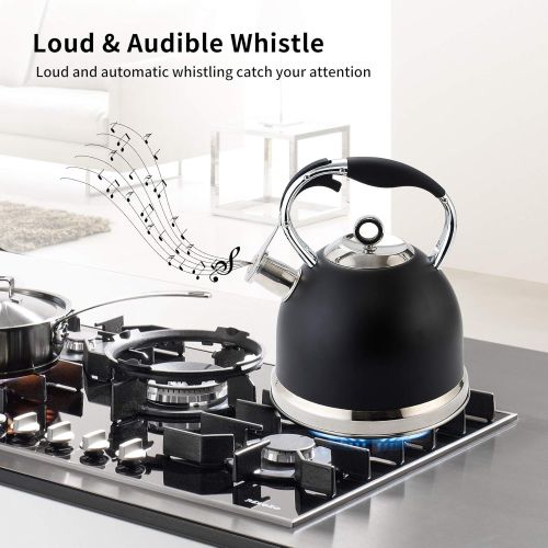  [아마존베스트]HIHUOS Tea Kettle 3 Quart induction Modern Stainless Steel Surgical Whistling Teapot - Pot For Stove Top (Black)