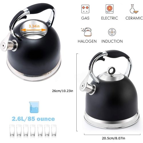  [아마존베스트]HIHUOS Tea Kettle 3 Quart induction Modern Stainless Steel Surgical Whistling Teapot - Pot For Stove Top (Black)