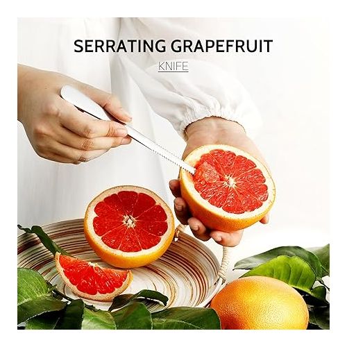  Hiware 4-piece Grapefruit Spoons and Grapefruit Knife, 18/8 Stainless Steel