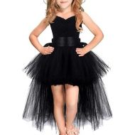 할로윈 용품HJTT Girls Tutu Dress with Train Handmade V-Neck Tulle Evening Wedding Birthday Party Dresses for Kids Ball Gown