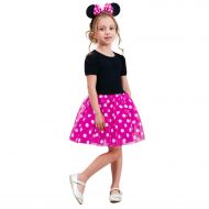 HNXDYY Baby Girl Carnival Dress Children Party Tulle Polka Dot Dress Kids Cosplay Pageant Fancy Costume Mouse Ears Headband