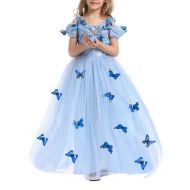 HNXDYY Princess Cinderella Dress Girls Party Carnival Fancy Costume