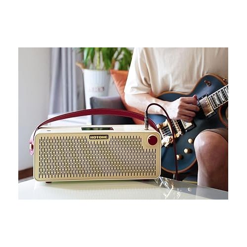  Hotone Pulze AP30WH Multifunctional Modern Bluetooth Modeling Amplifier White Edition 30 Watts