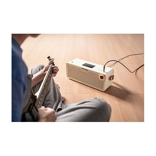  Hotone Pulze AP30WH Multifunctional Modern Bluetooth Modeling Amplifier White Edition 30 Watts