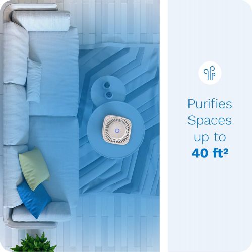  hOmeLabs 4-in-1 Compact Air Purifier - Quietly Ionizes and Purifies Air to Reduce Odors and Particles from the Air