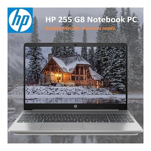에이치피 HP Essential 255 G8 Laptop, 15.6