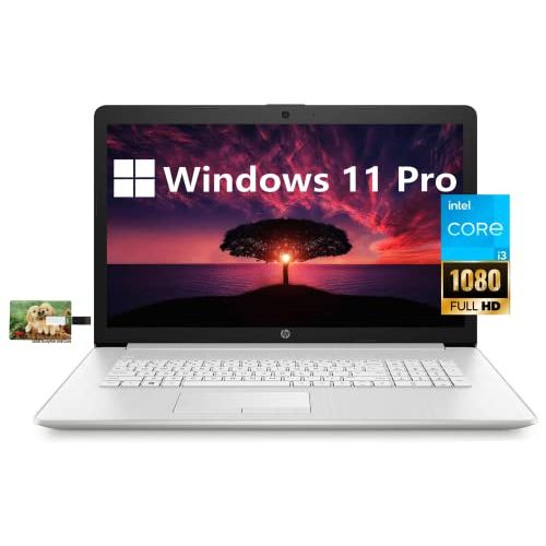 에이치피 HP 17 Business Laptop Computer, 11th Gen Intel Core i3-1115G4, 17.3 FHD Display, Windows 11 Pro, 8GB RAM 256GB SSD, HDMI, Wi-Fi, Bluetooth, Webcam, 32GB Durlyfish USB Card